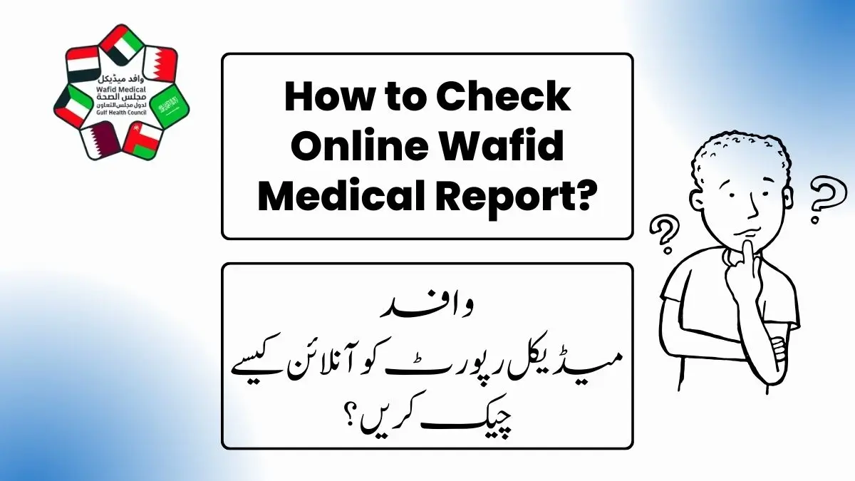 How to check online Wafid medical report